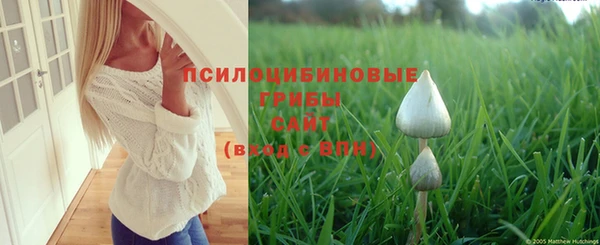 мдпв Волосово