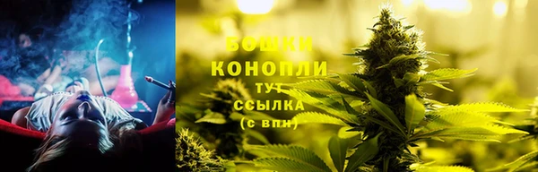 мдпв Волосово