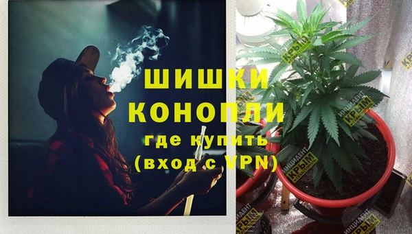 мдпв Волосово