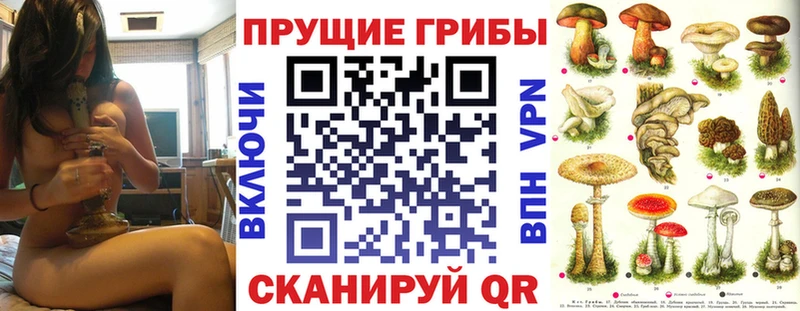 Галлюциногенные грибы мицелий  Купить где  Горячеводский 